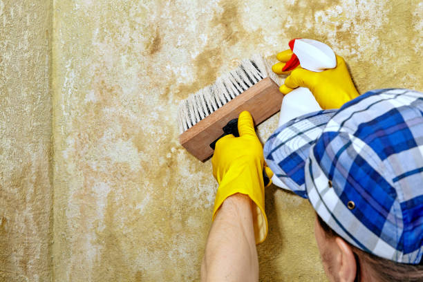Best Post-Construction Mold Inspection  in Twin Rivers, NJ